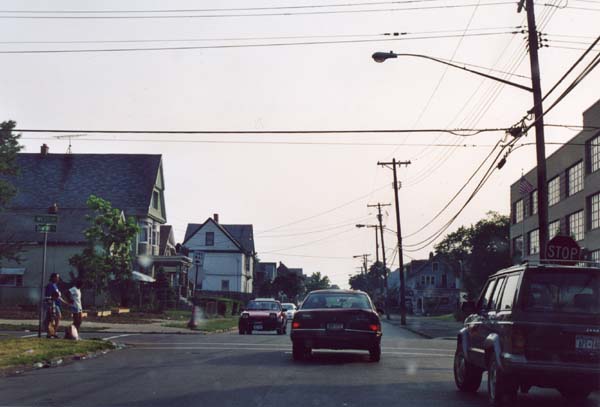 0145-buffalo