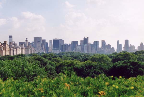 0161-nyc---met