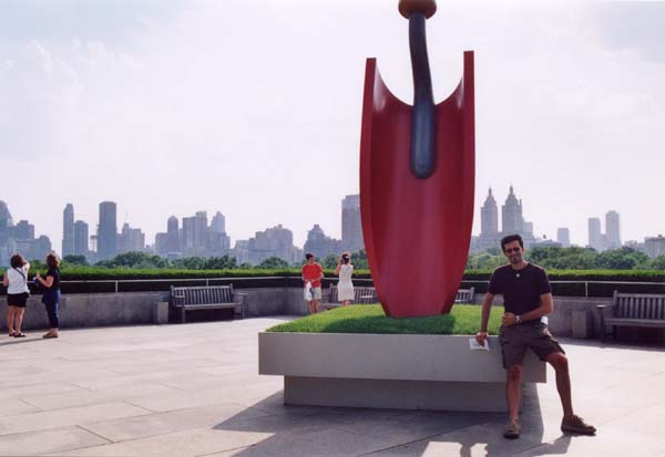 0163-nyc---met
