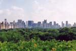 0161-nyc---met