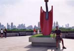 0163-nyc---met