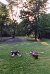 0169-nyc---central-park
