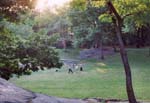 0171-nyc---central-park