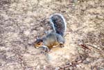 0173-nyc---central-park